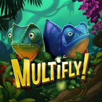 Multifly2